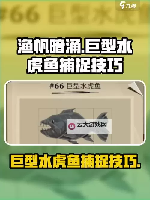 《渔帆暗涌》全鱼类图鉴图1