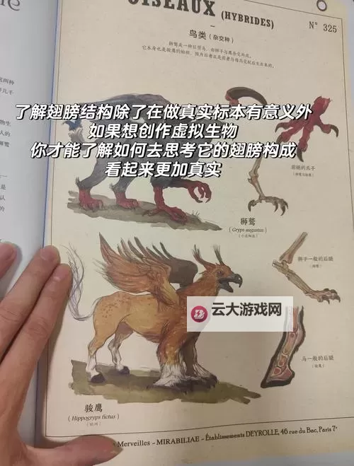 《怪物猎人荒野》端丽翼鸟在哪抓 端丽翼鸟捕获教程图1