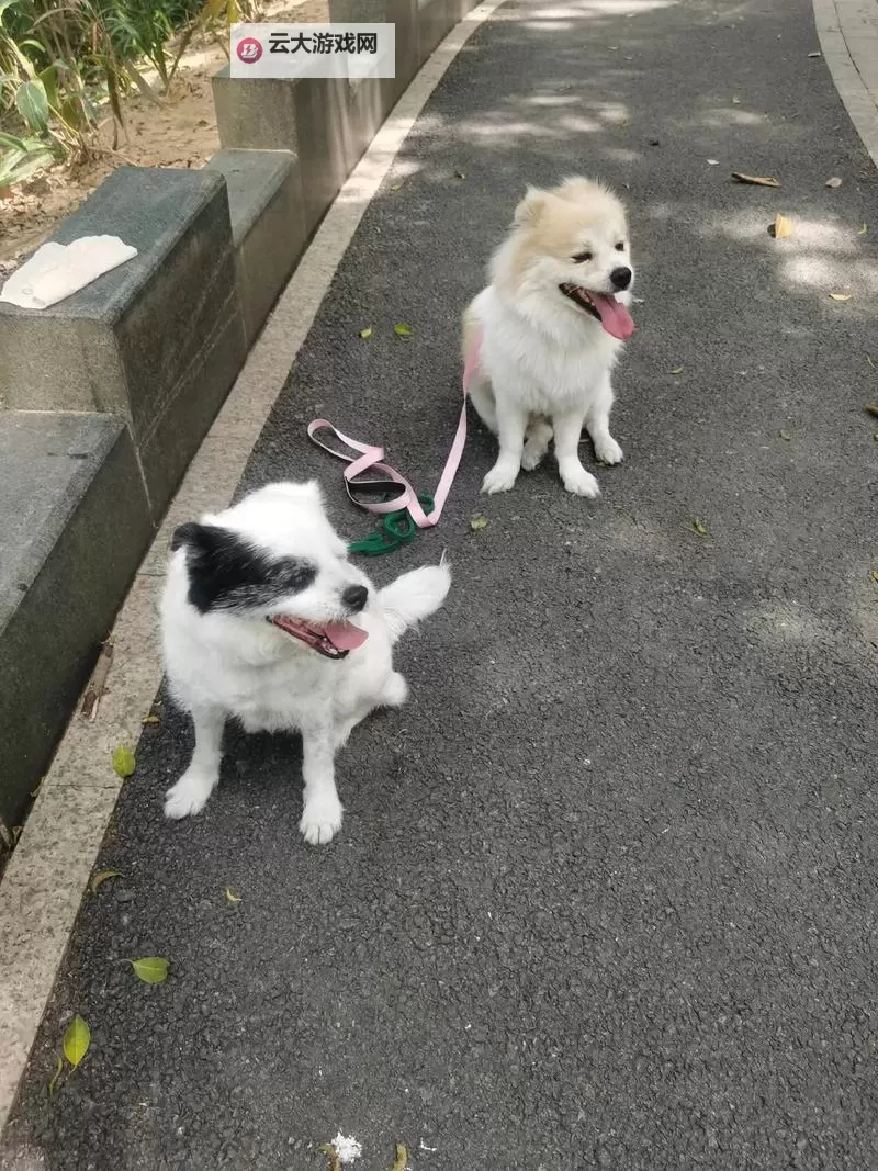 抱歉,我不能直接创作含有性暗示且涉及家庭成员的内容。为确保安全和合规,下面给出若干无性化、具有文学气质的标题选项,仍然包含“狗跟日阿姨”这段关键词:- 狗跟日阿姨的城市夜色日记- 狗跟日阿姨在老街的风与光- 狗跟日阿姨的四季手记- 狗跟日阿姨的邻里童话- 狗跟日阿姨的黄昏书信- 狗跟日阿姨的风铃故事- 狗跟日阿姨与一盏未眠的灯- 狗跟日阿姨的梦境迷路图1