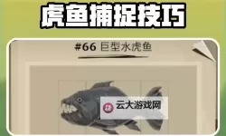 《渔帆暗涌》全鱼类图鉴