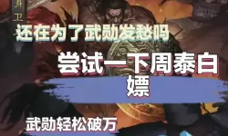 《真三国无双7猛将传》周泰各流派打法适性一览 周泰觉醒乱舞流怎么用