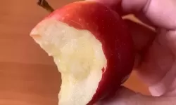 福利视频苹果:光影里的伦理之问