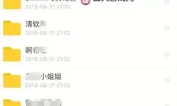 十大黄台禁用app下载推荐安卓：合规下载与风险防范的全景解读