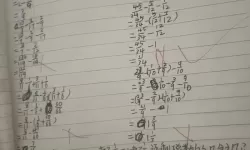 作业PLAY错一题一支笔：一页错题引发的成长记