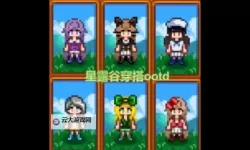 《星露谷物语》1.6版本服装穿搭分享