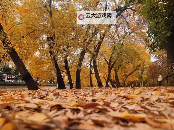 在海雾里搜索记忆：KXK蓝色网站的流光书页图1