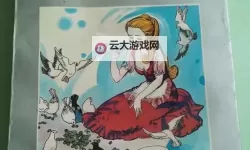 《原神》4.6全火元素角色培养一图流
